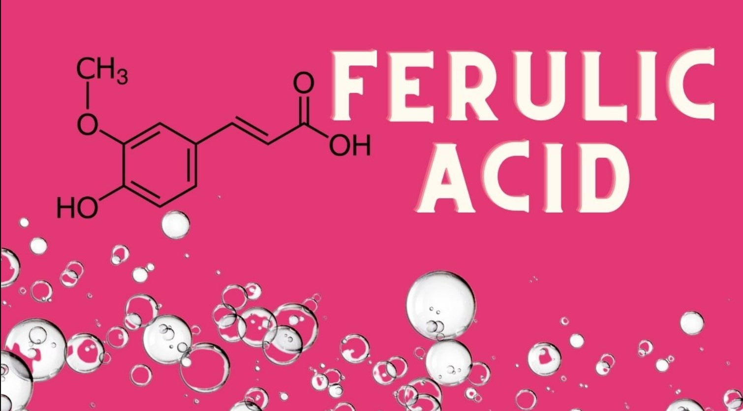 Ferullic Acid là gì? Ferullic Acid có tác dụng gì với làn da của bạn